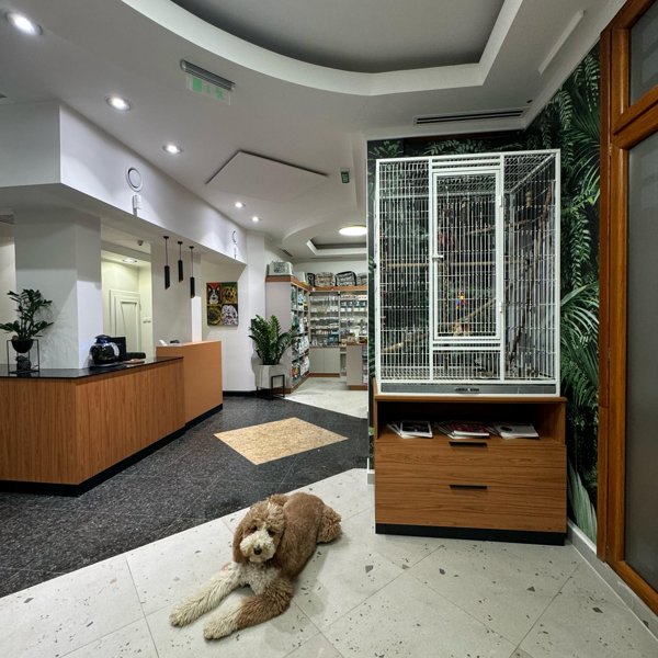 Bilja Vet prostor - recepcija
