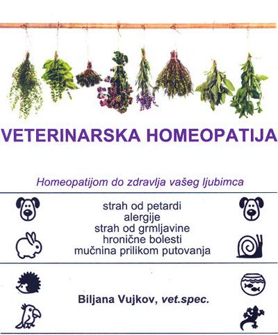 Homeopatija