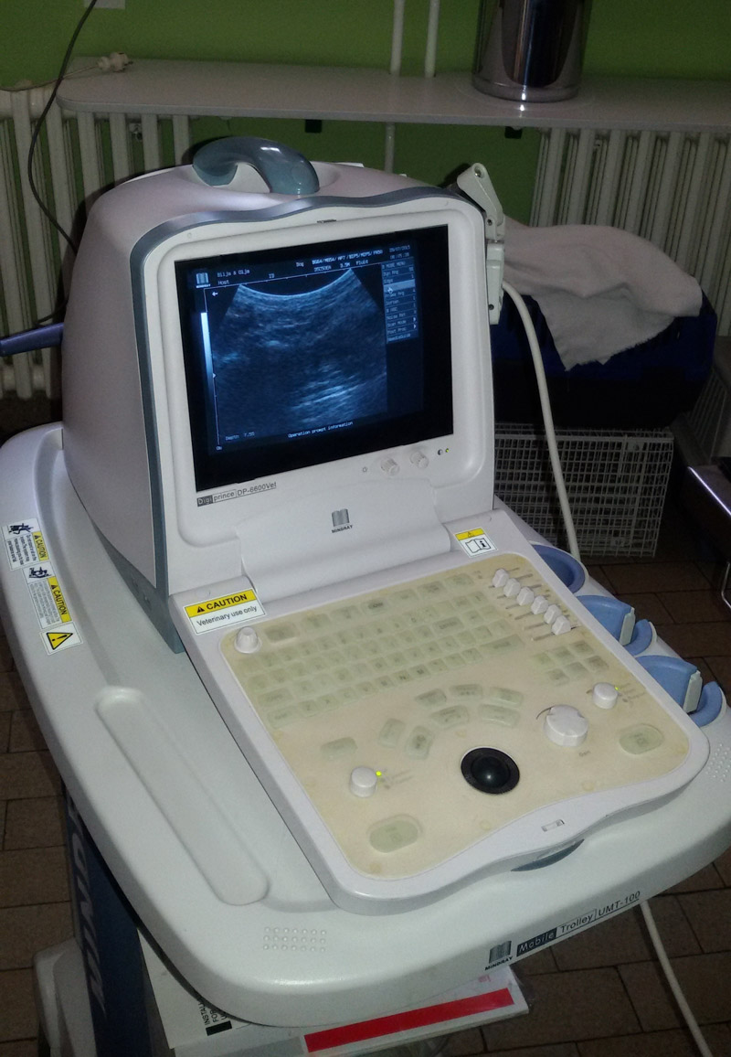 ultrazvuk 